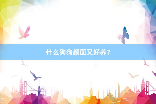 什么狗狗颜面又好养？